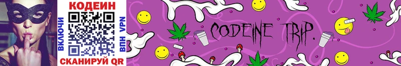 Купить закладки  Курильск  Кодеиновый сироп Lean Purple Drank 