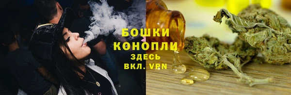 дмт Горно-Алтайск