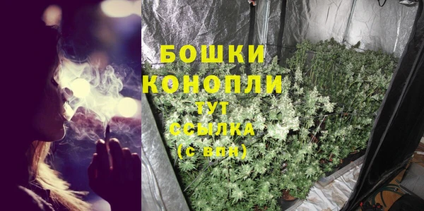 дмт Горно-Алтайск