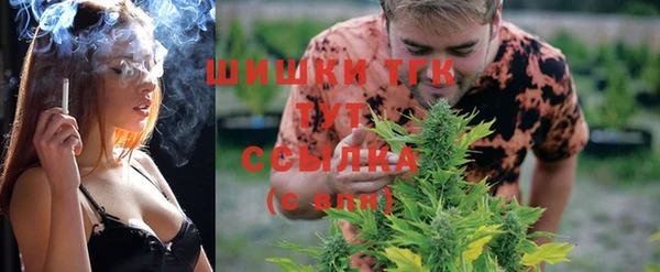 дмт Горно-Алтайск